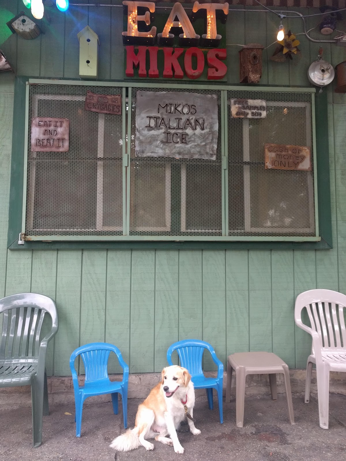 Miko's Italian Ice (Logan Square): the place