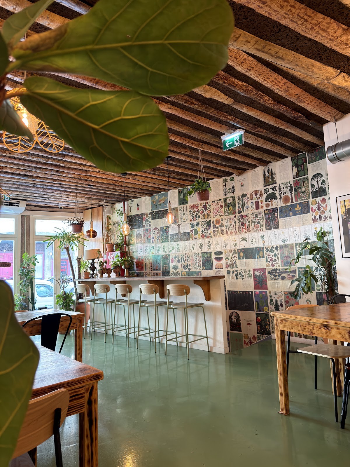Flora Porto Brunch and Dishes: the place