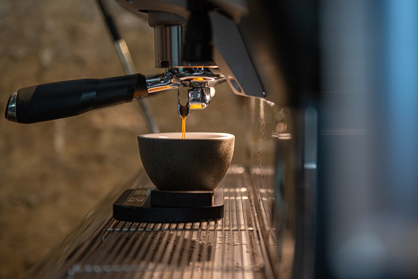 WOLFOX Lab - Speciality Coffee: the place