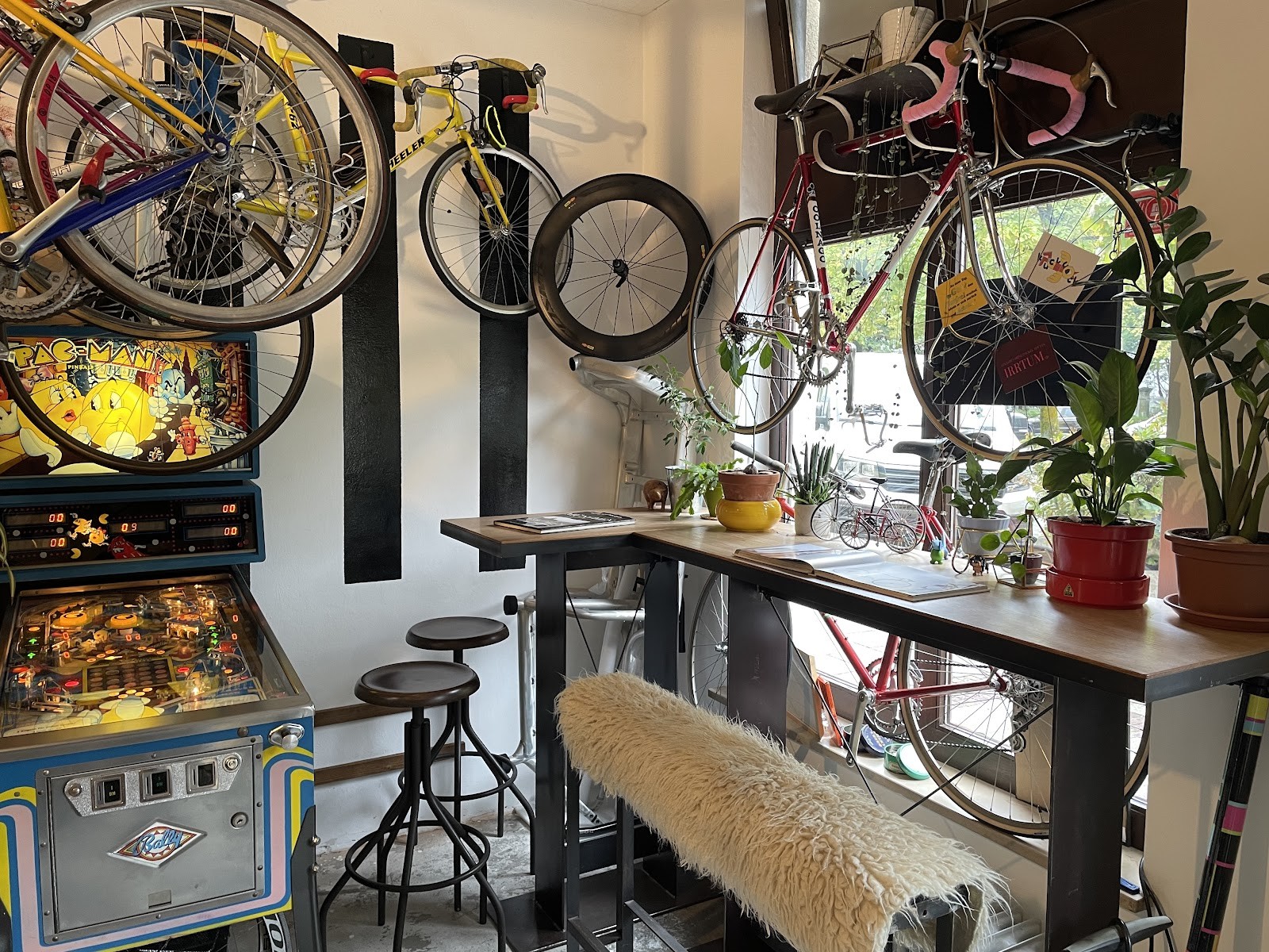 The Rolling Dackel - Bike Service & Vegan Café: the place