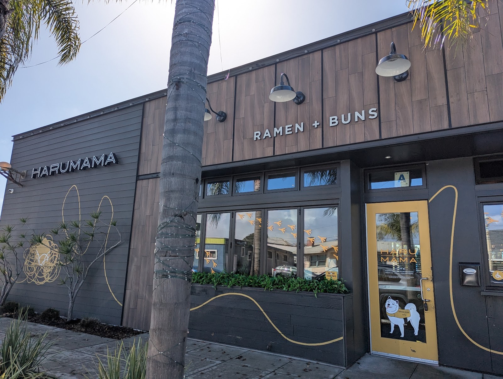 Harumama Ramen by Blue Ocean Sushi: the place