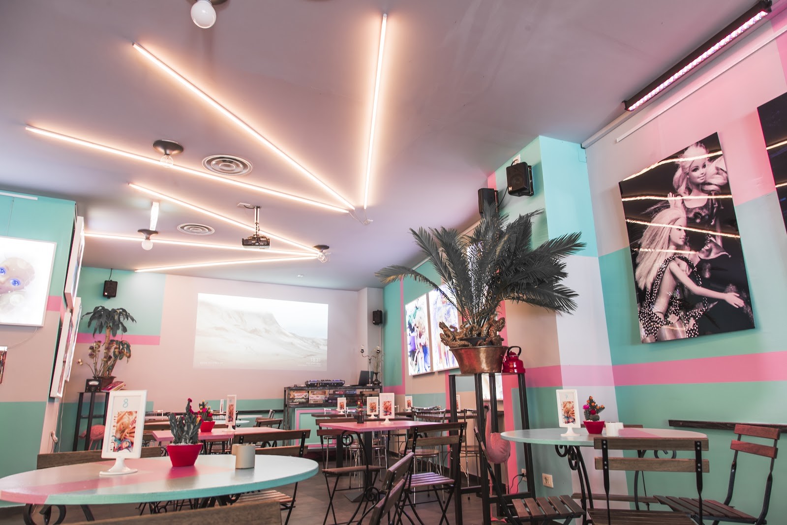 NoLoSo: the place