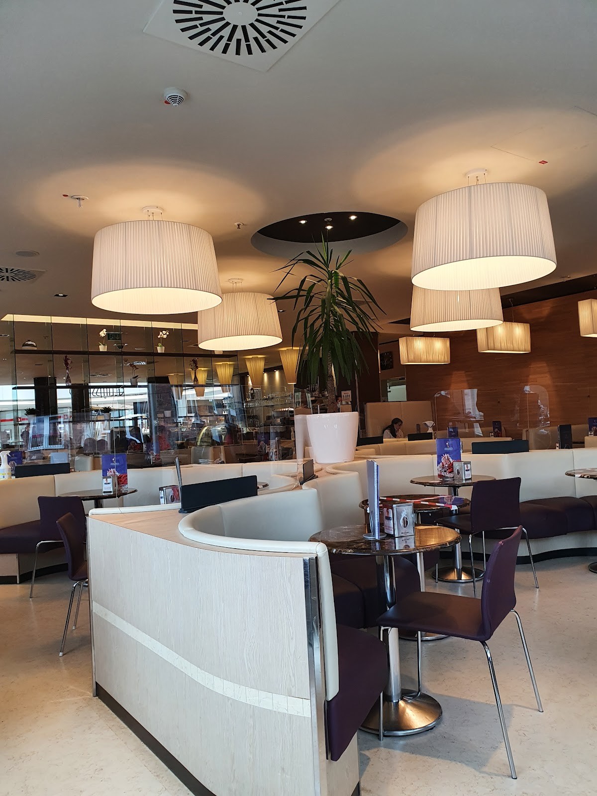 Gelatissimo: the place