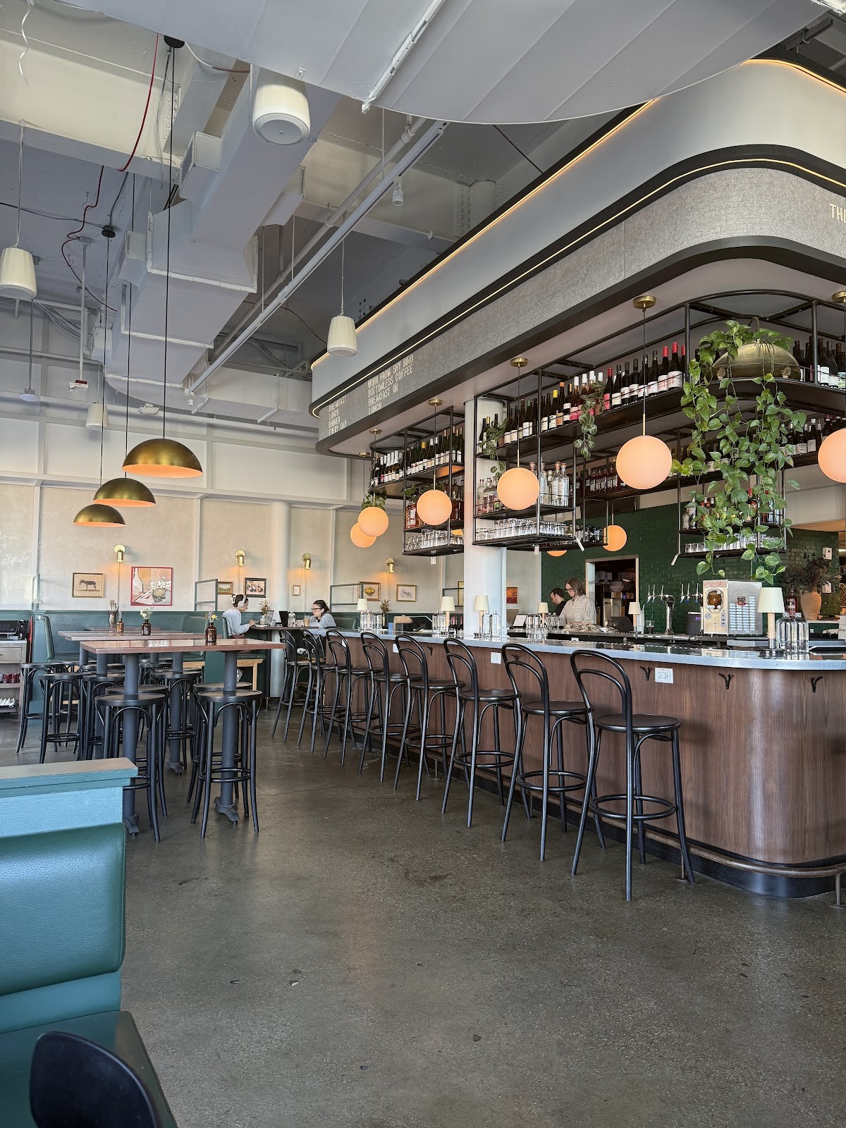 Shy Bird - South Boston: the place