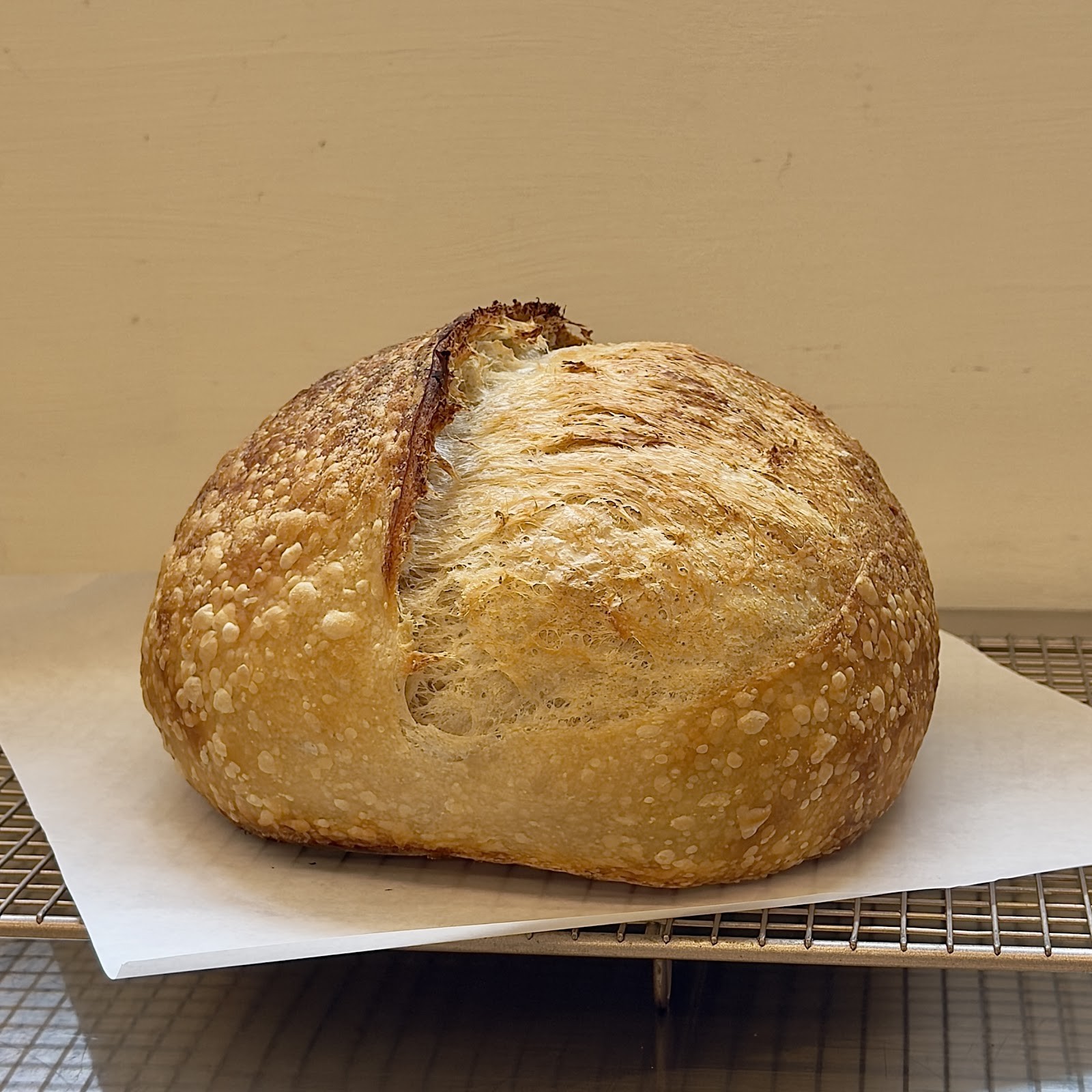 Forepeak Bakery: food & drinks