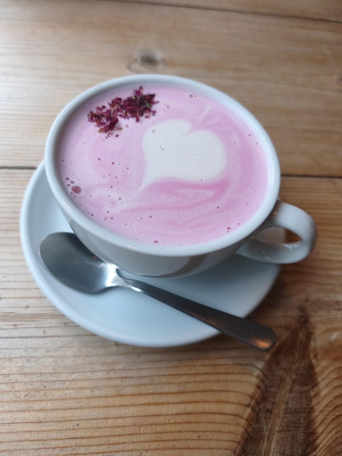 The Sly Fox: food & drinks