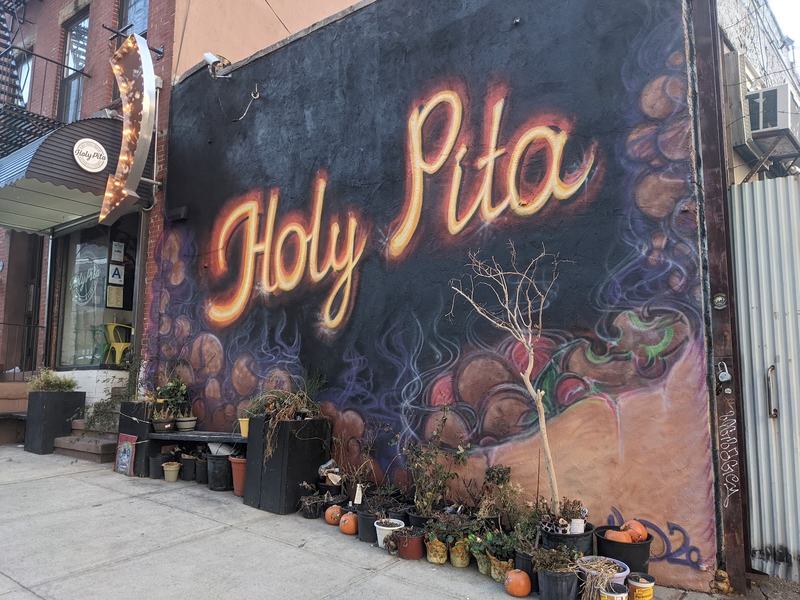 Holy Pita: the place