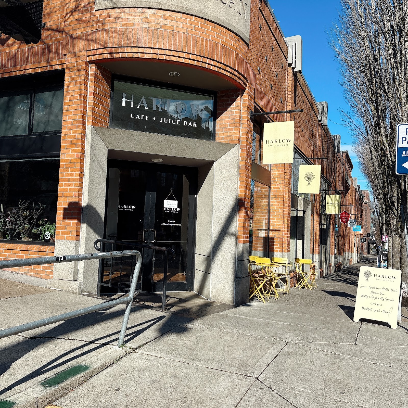 Harlow Cafe + Juice Bar: the place