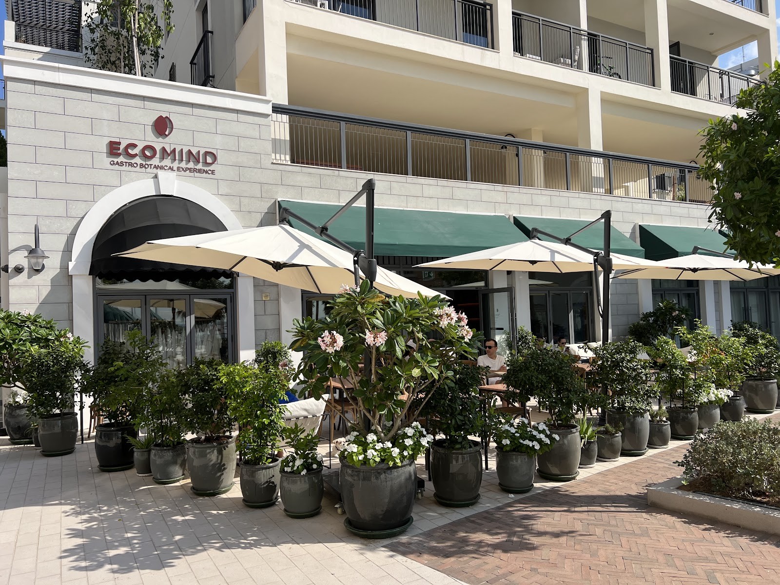Eco Mind - Gastro Botanical Cafe & Concept Store: the place