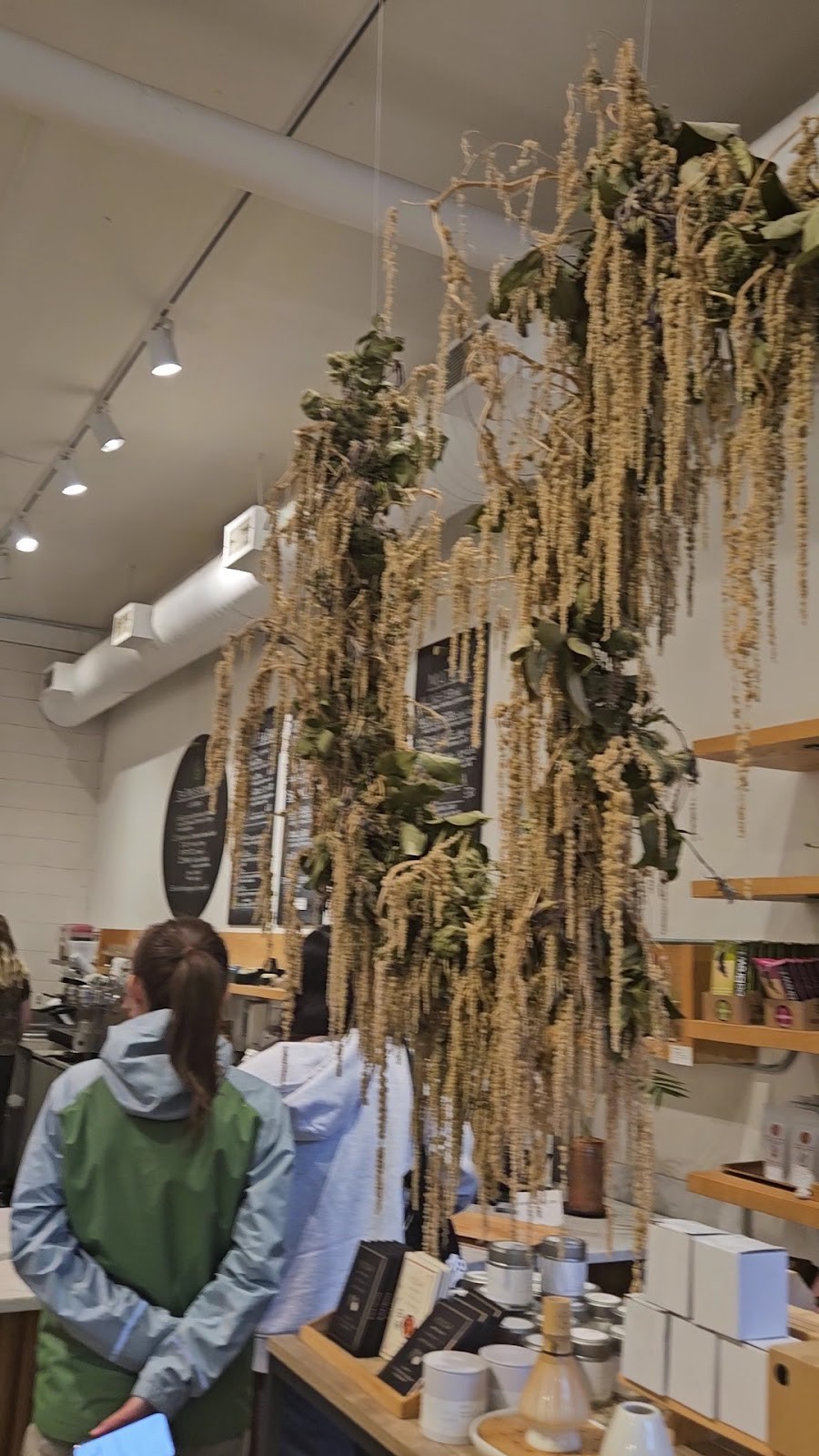 Miro Tea: the place