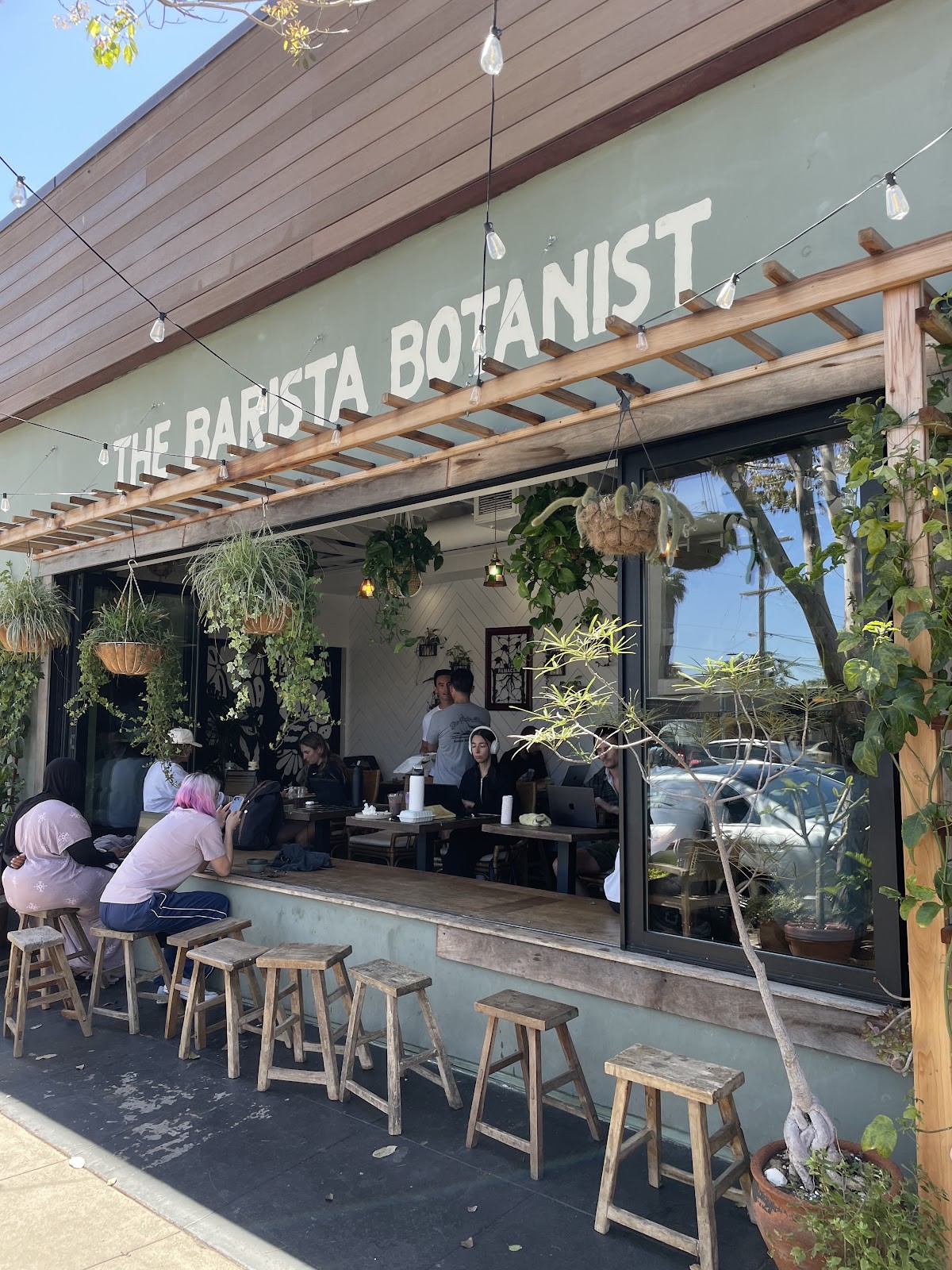 The Barista Botanist: the place