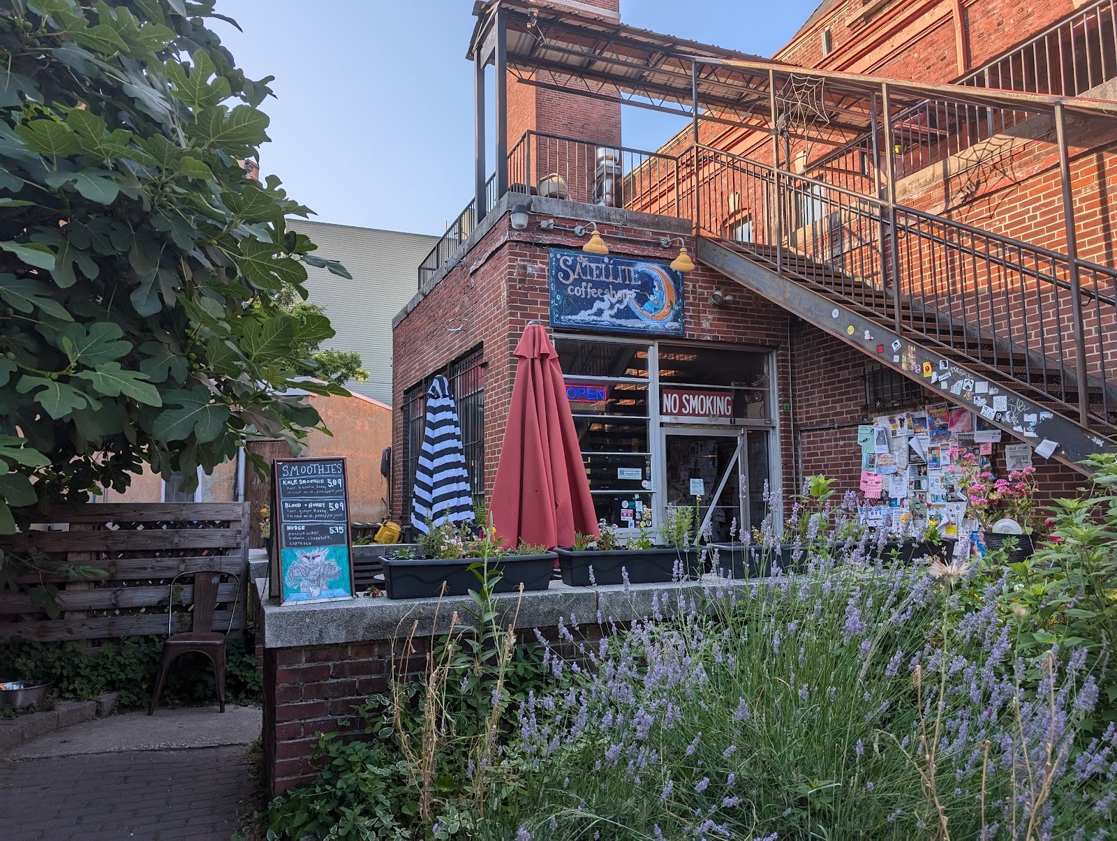 Satellite Cafe: the place