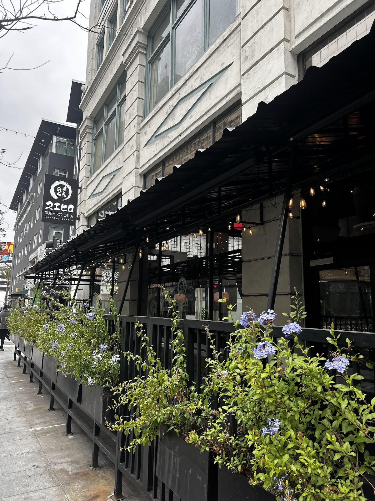 Suehiro DTLA: the place