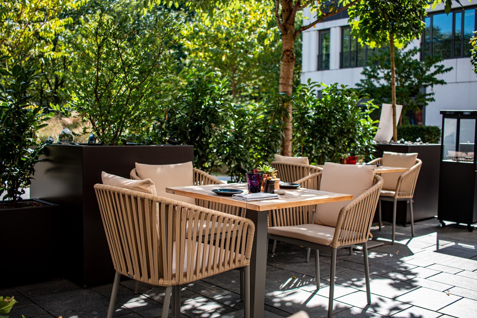 The Lonely Broccoli & Terrasse: the place