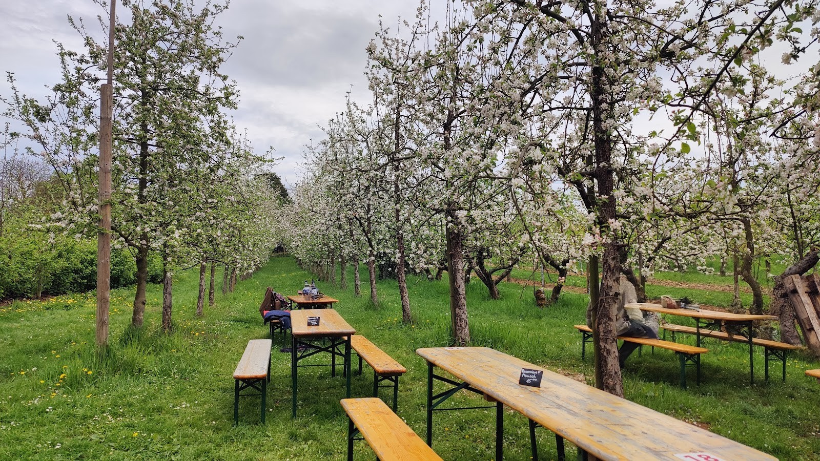 Obsthof am Steinberg: the place