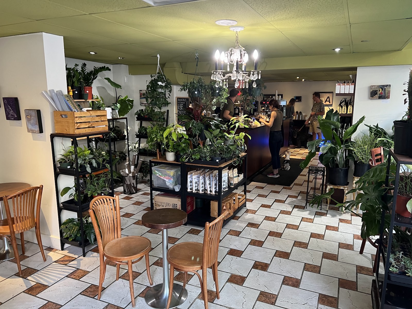 The Black Canary Espresso Bar (Sherbourne): the place