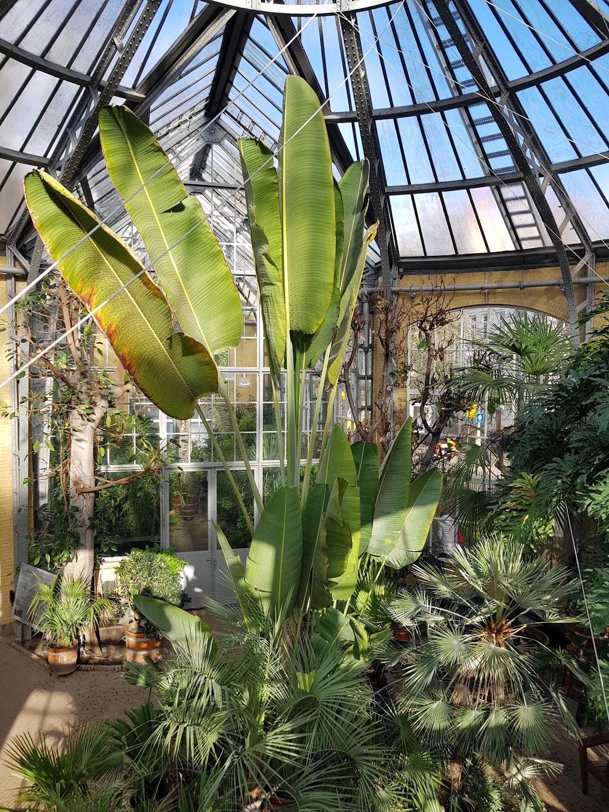 Hortus Botanicus: the place