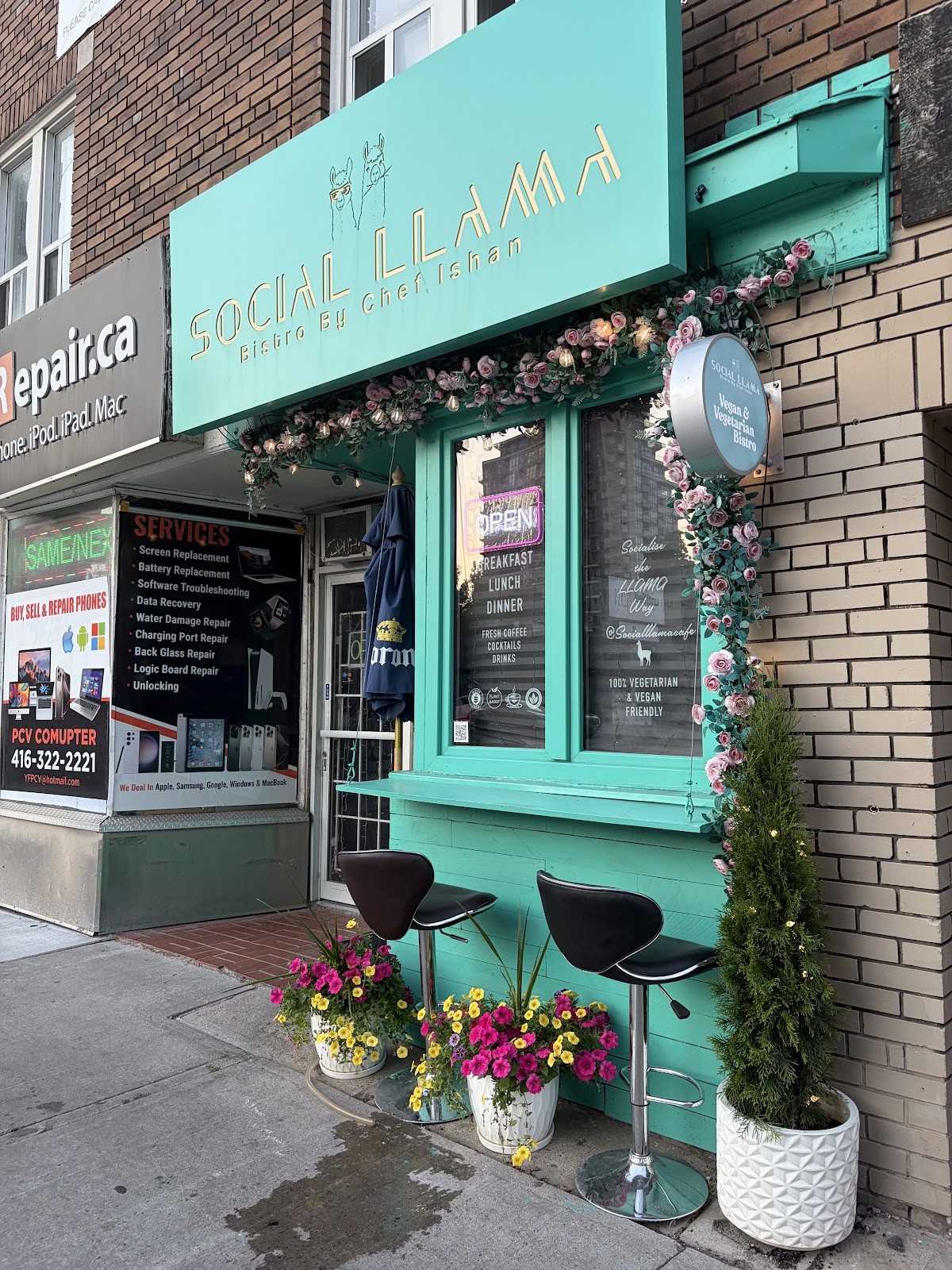 Social Llama Cafe: the place
