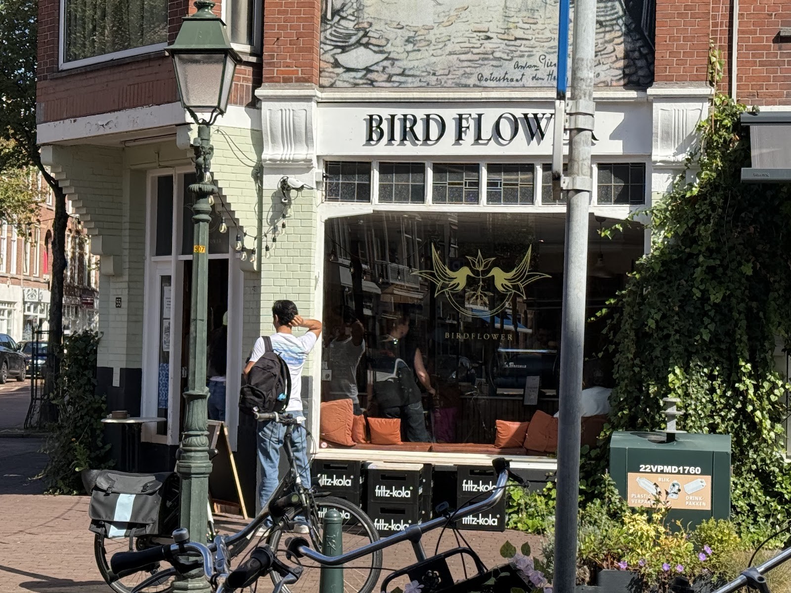 Birdflower: the place