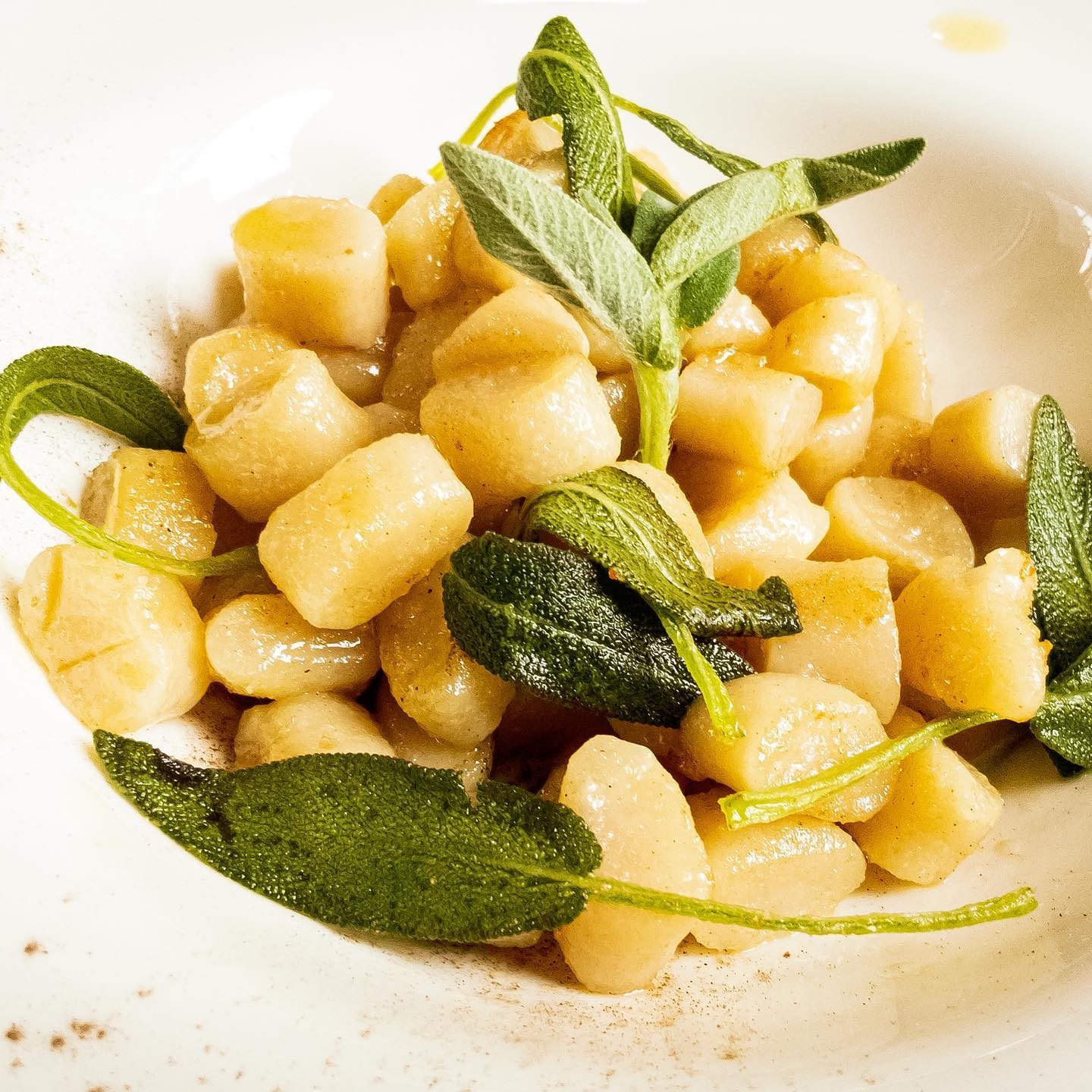 Al Sanpietrino Trattoria: food & drinks