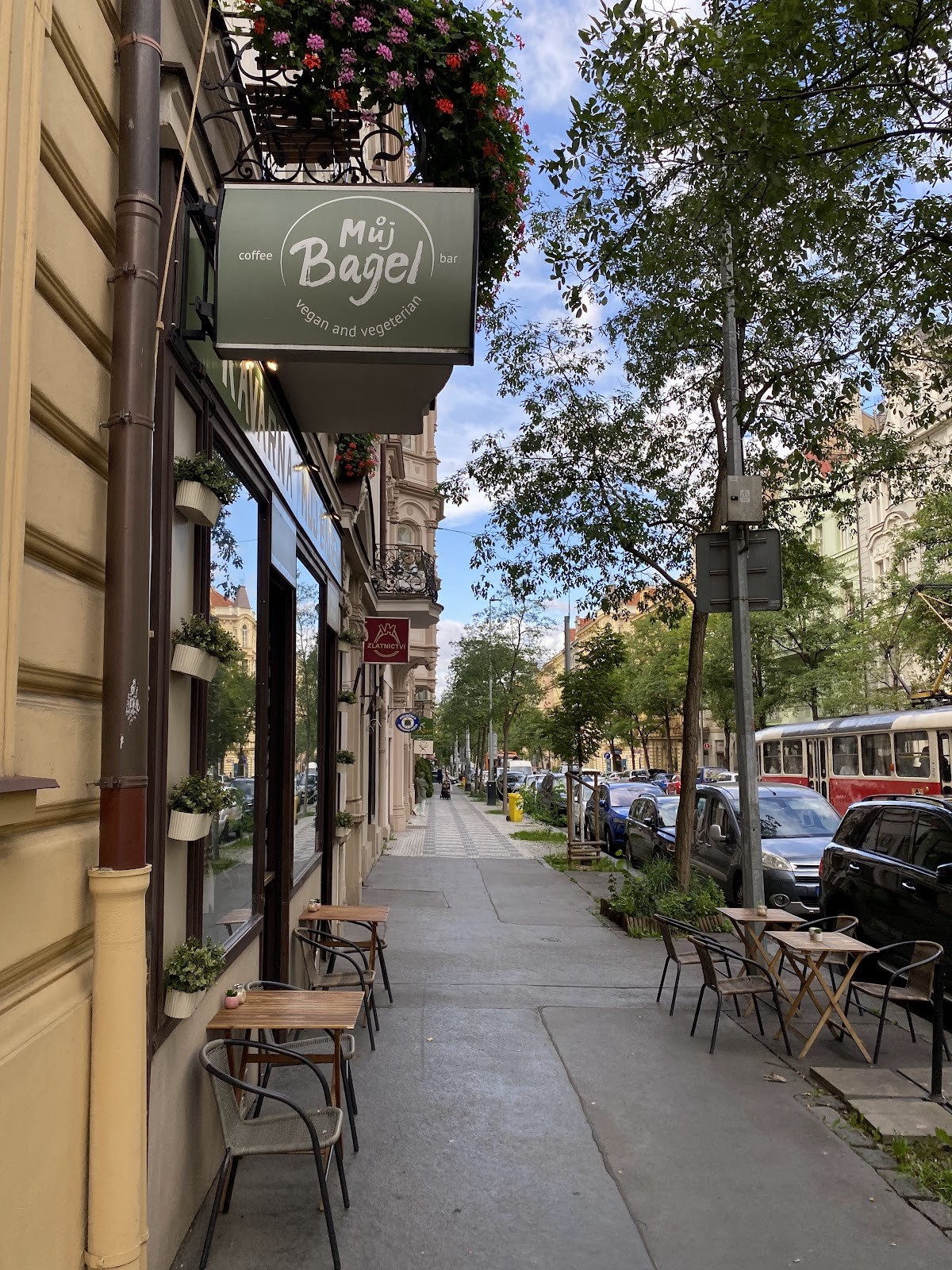 Můj Bagel: the place
