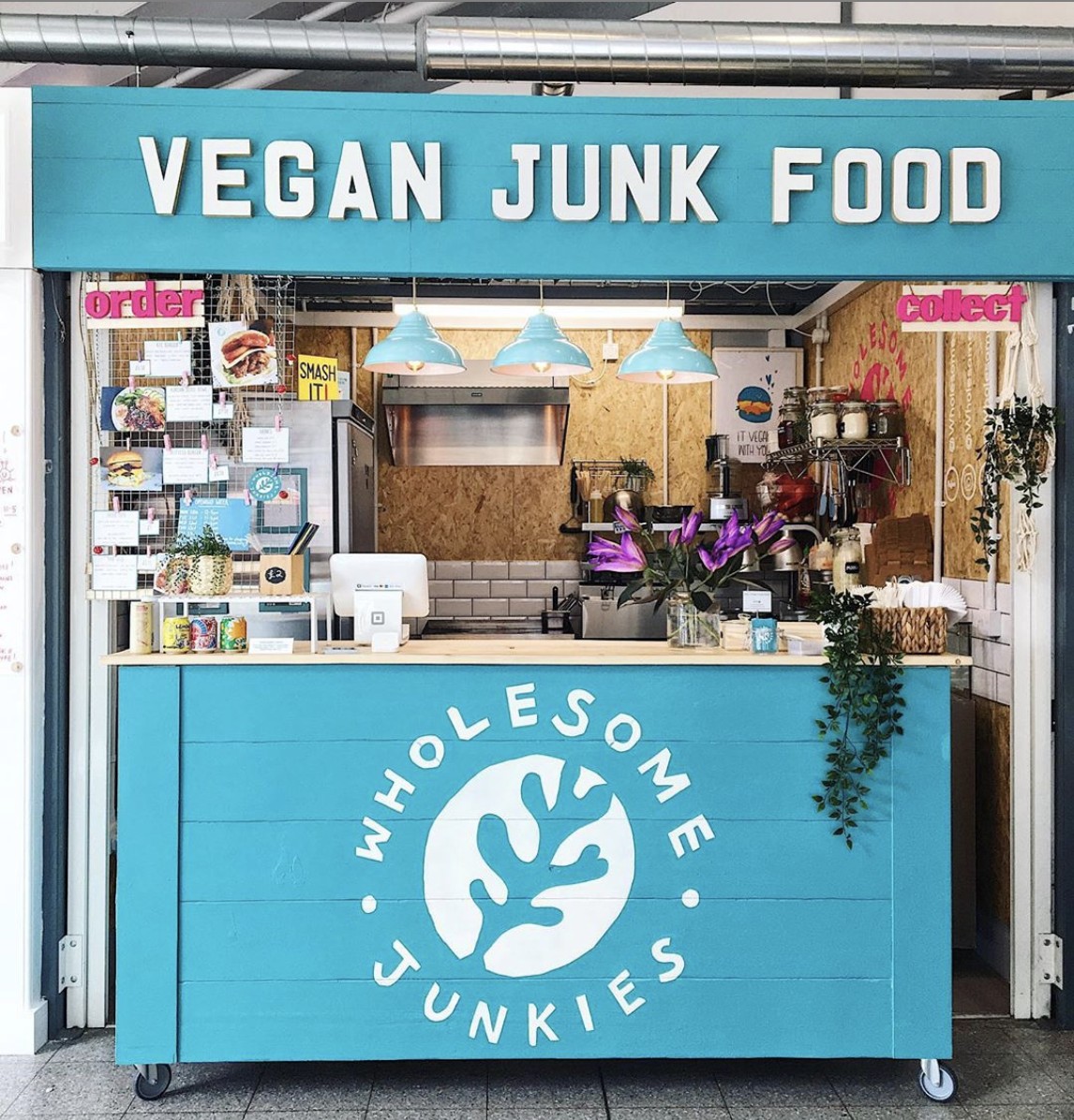 Wholesome Junkies: the place