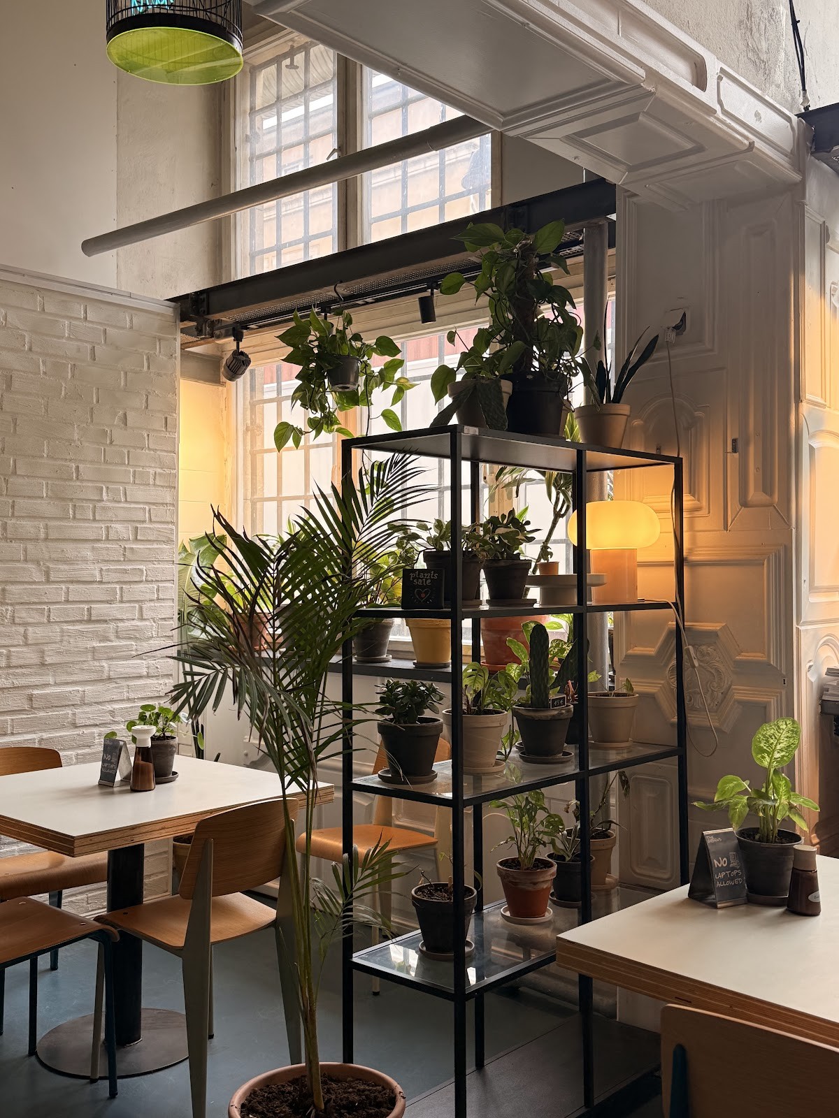 The Greens - Coffee & Plants: the place