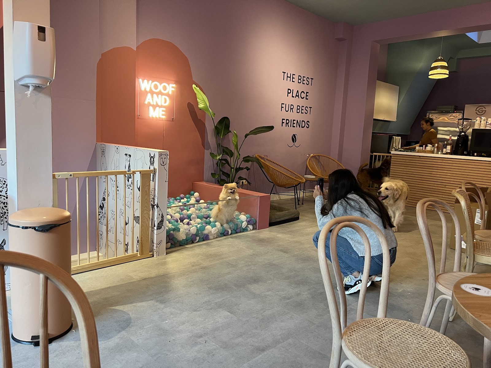 Woof & Me: the place