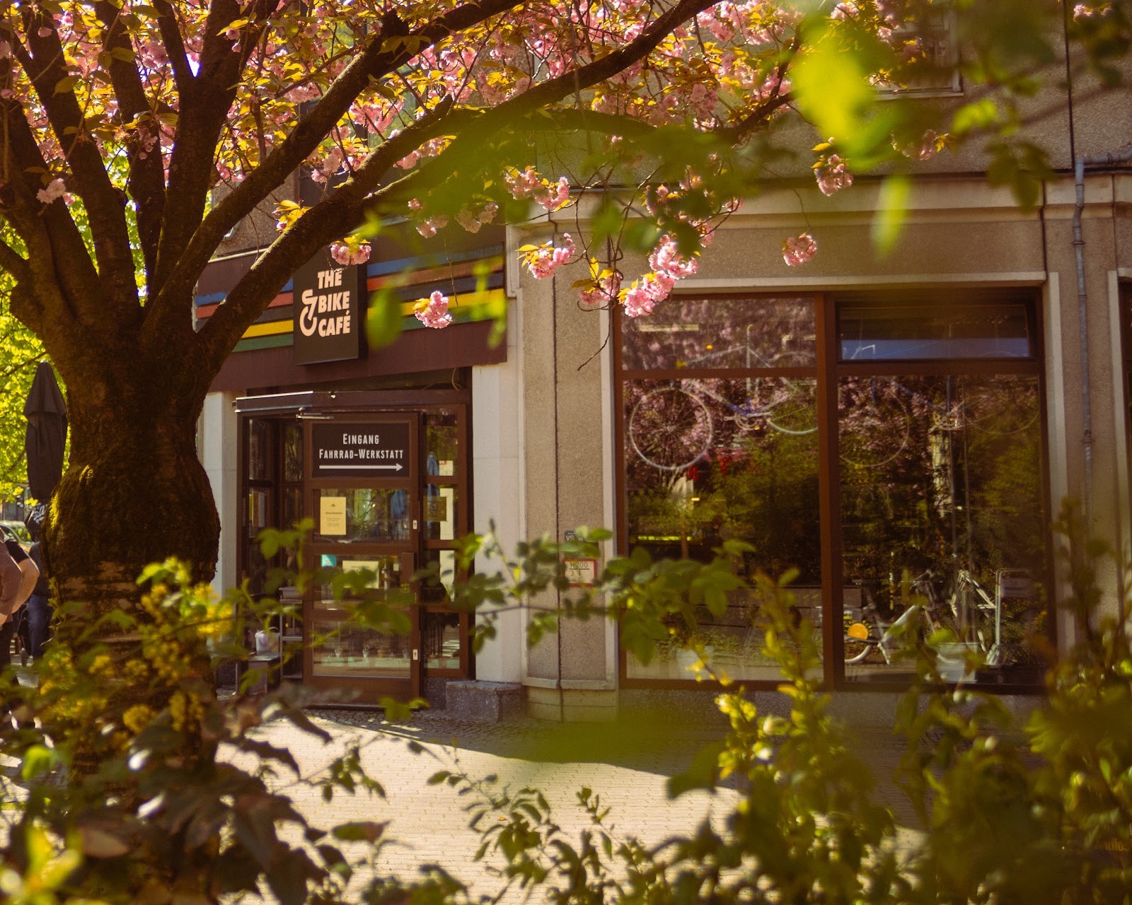 Steel Vintage Bikes Café: the place