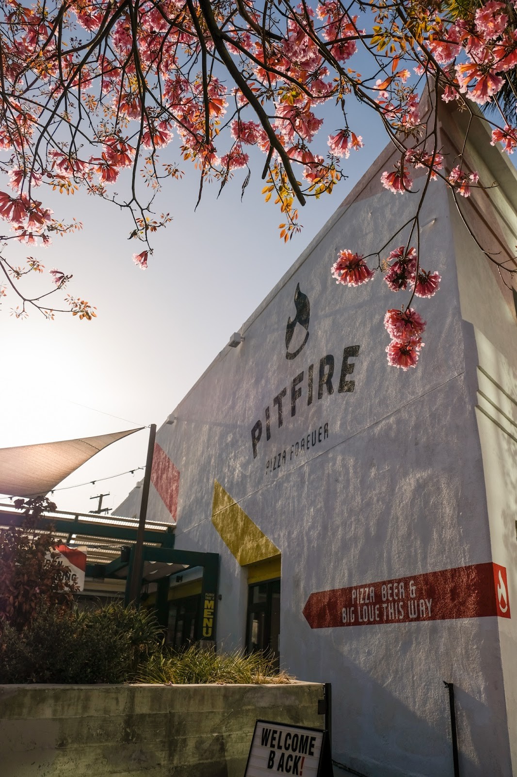 Pitfire Pizza: the place