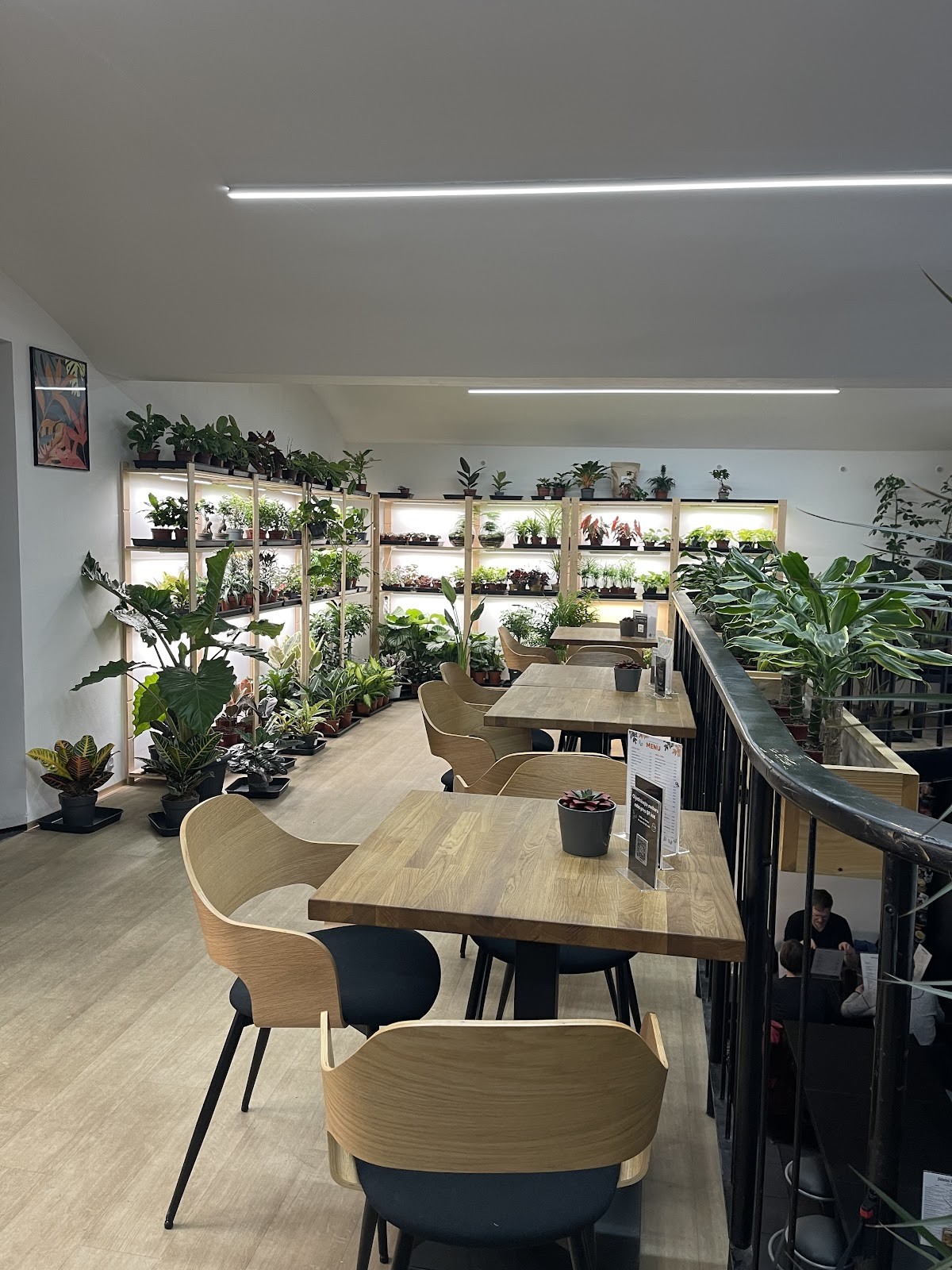 Belzepub: the place