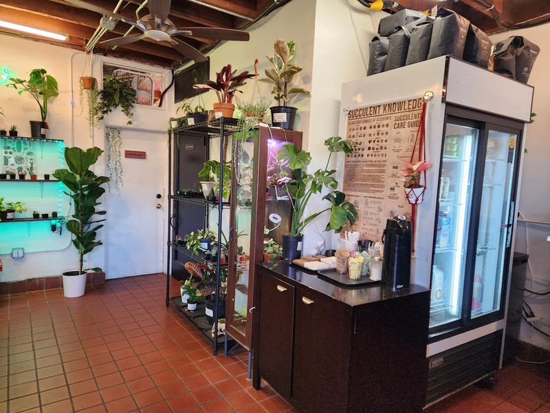 Ocean Beach Coffee and Plants: photo 4