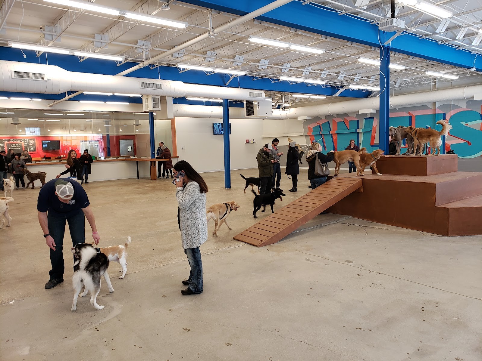 Unleashed Hounds and Hops: the place