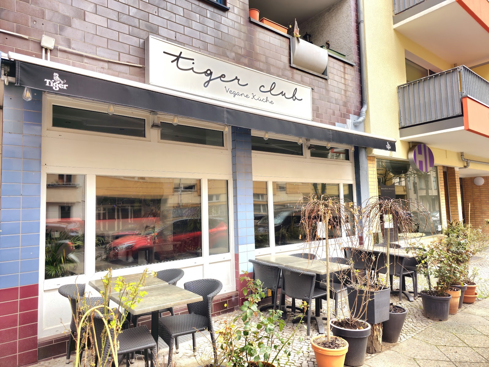 Tiger Club: the place