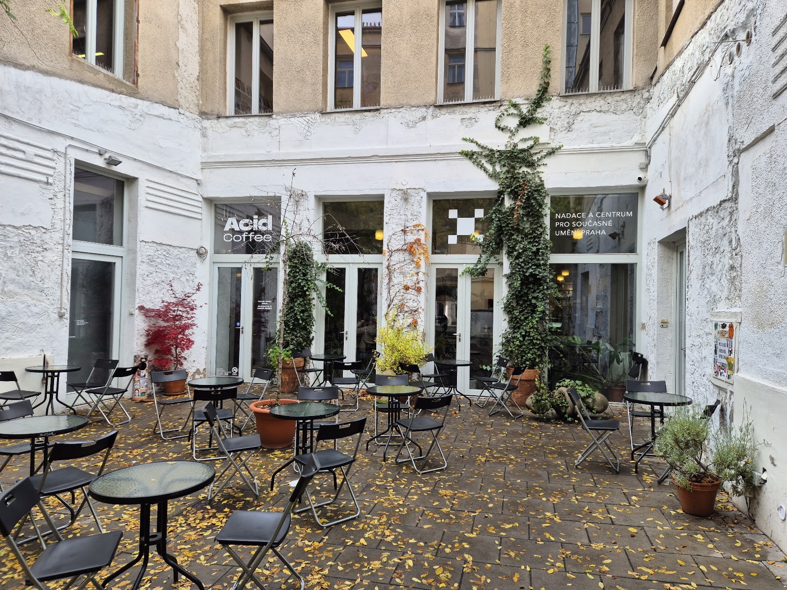 Acid Coffee: the place