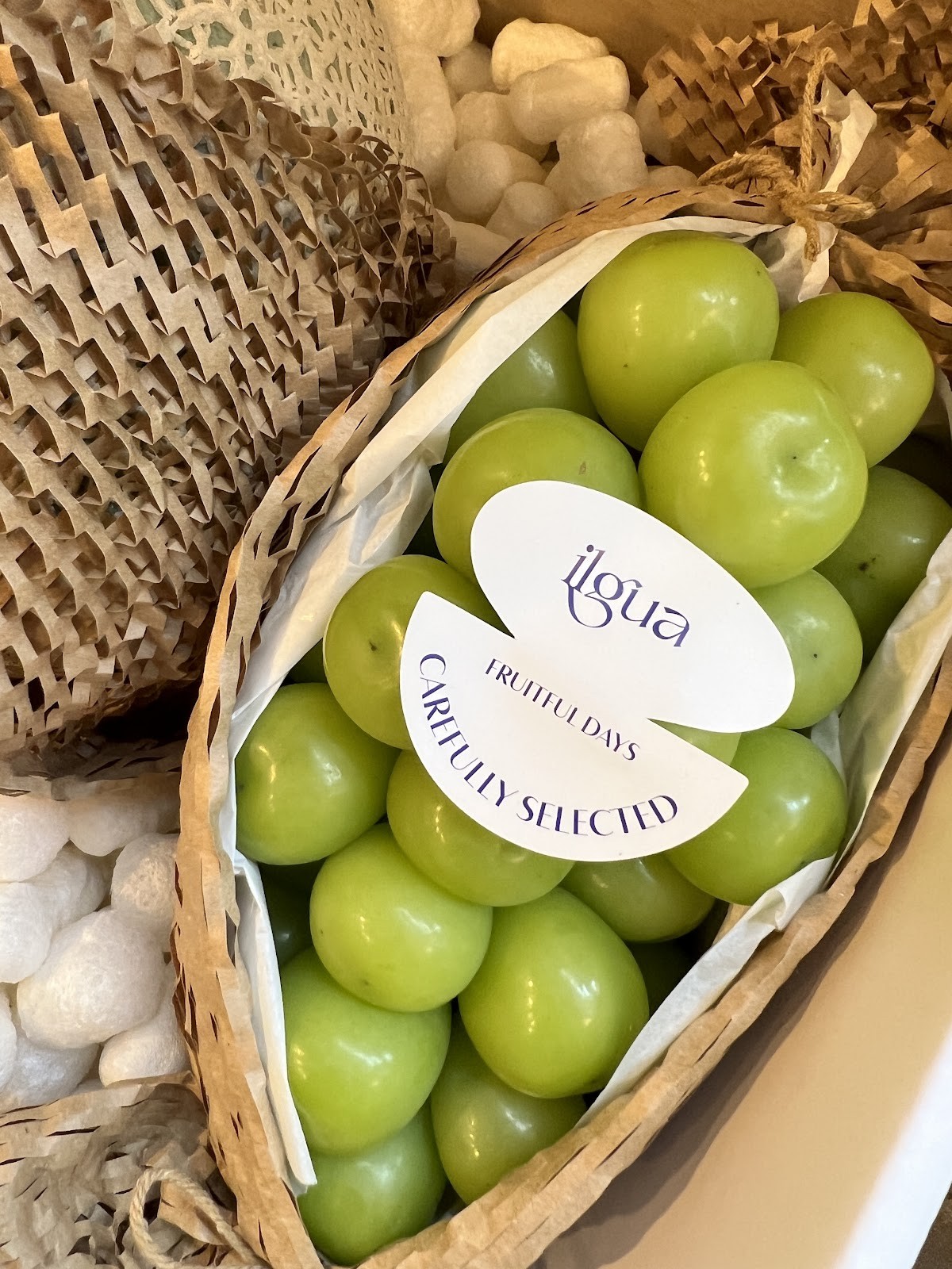 Ilgua Eat Fresh: food & drinks