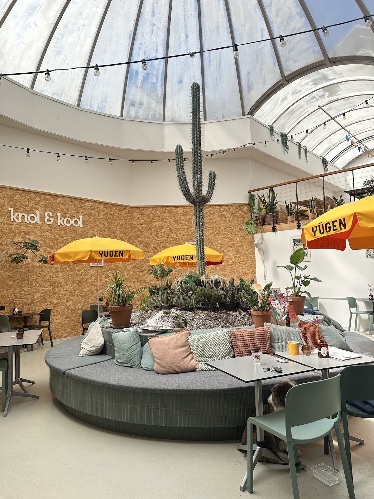 knol&kool🌱: the place
