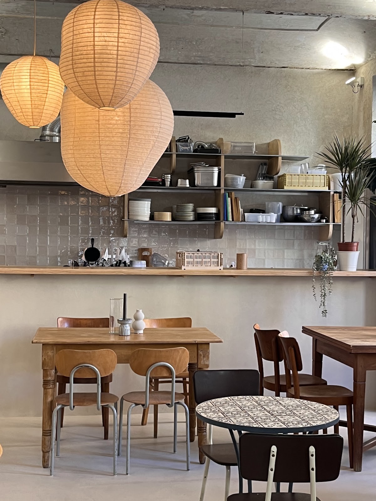 Oak: the place