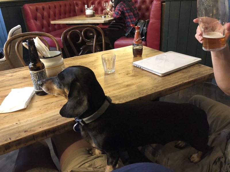 Belle Vue: photo 4