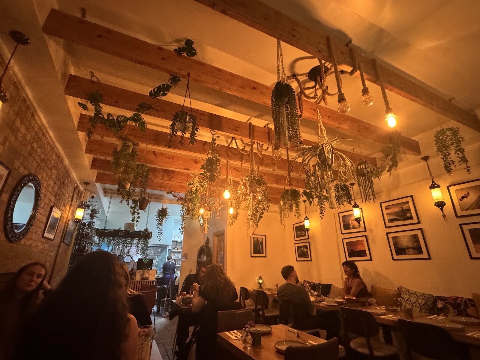 Zer Middle East Kitchen: the place