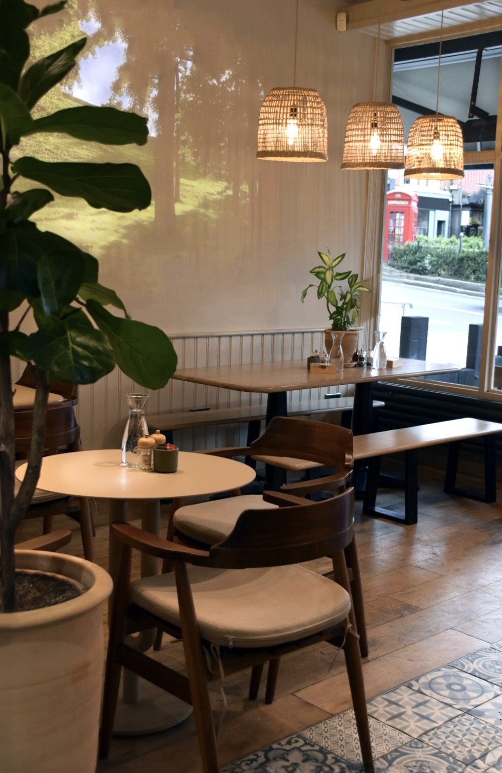 Silverberry: the place