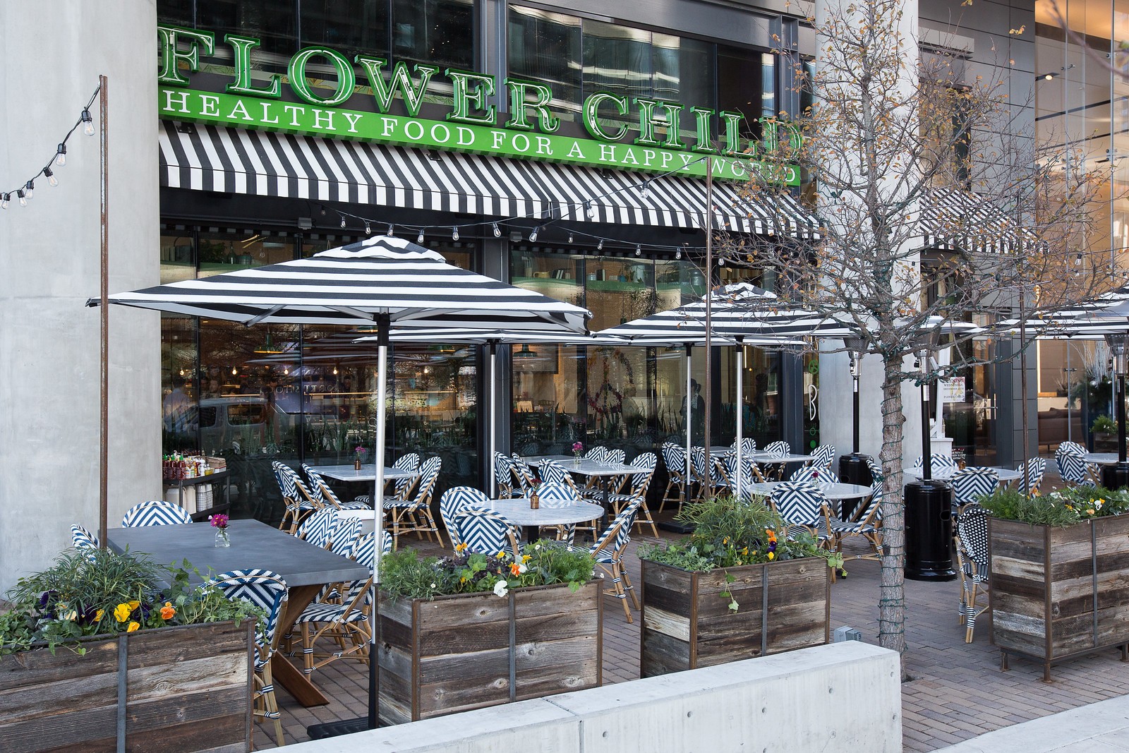 Flower Child: the place