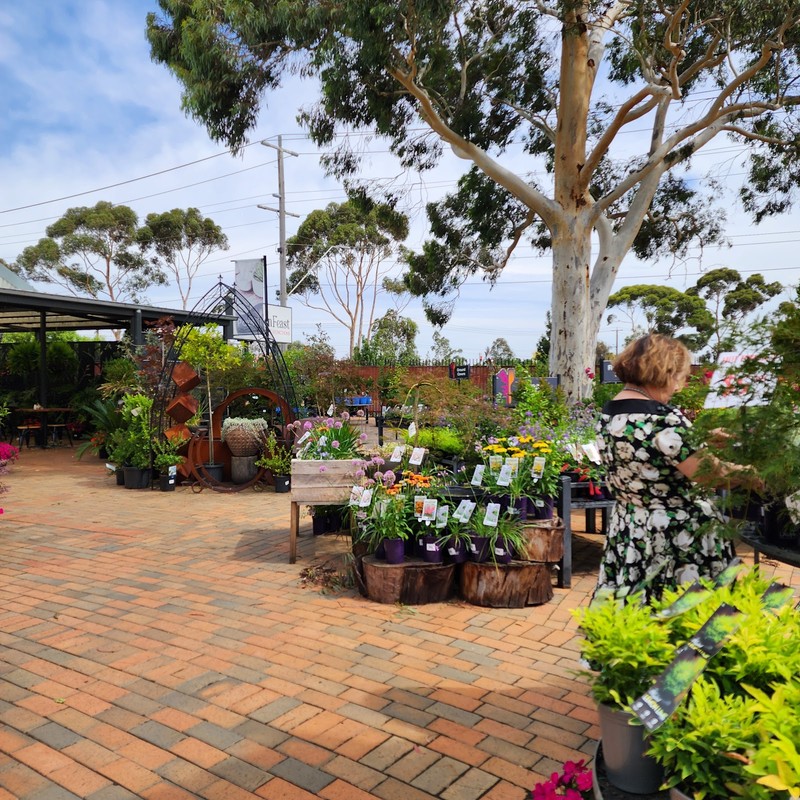 The Garden Feast Nursery Cafe Functions: photo 4