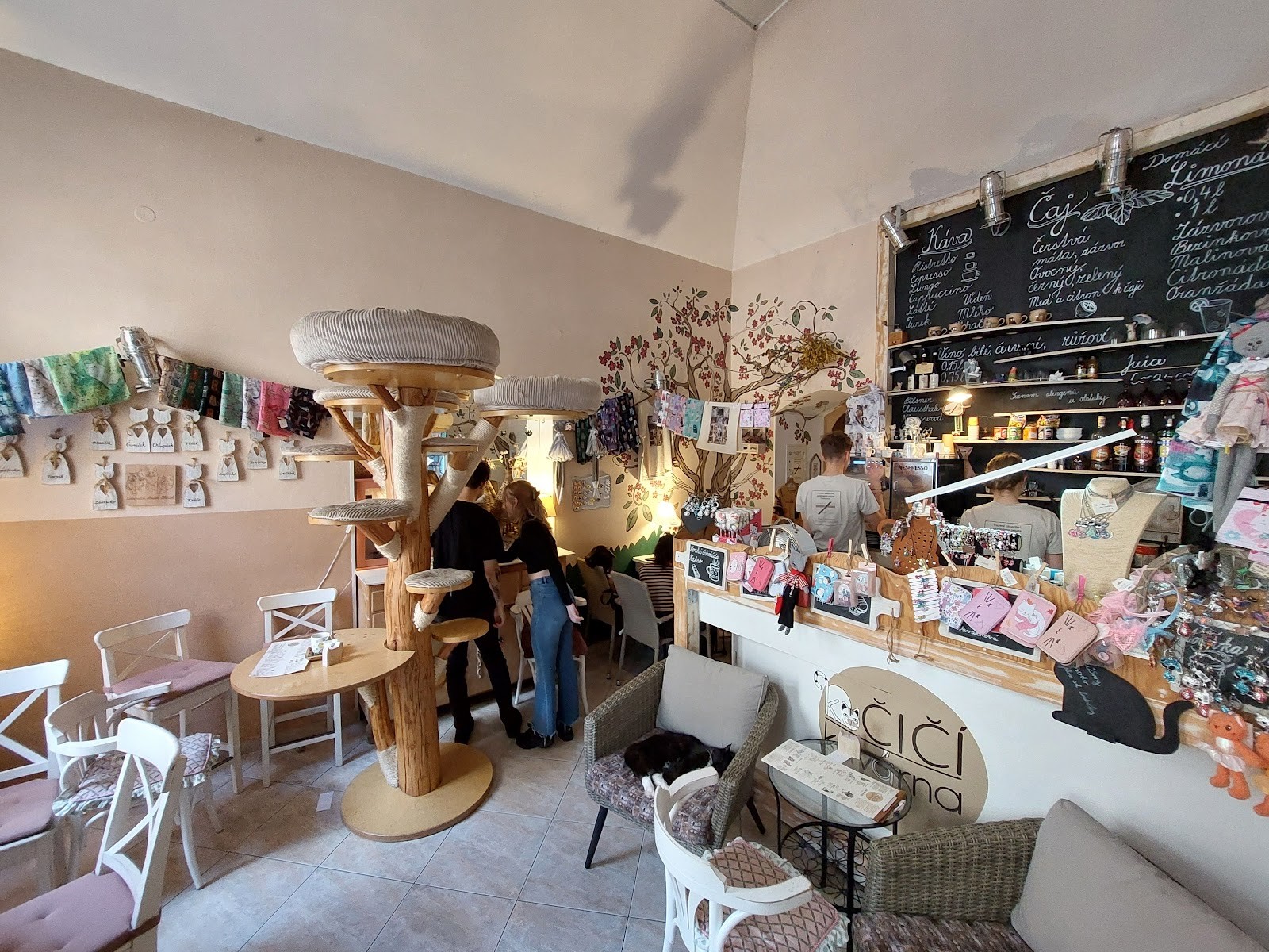Cat Café: the place