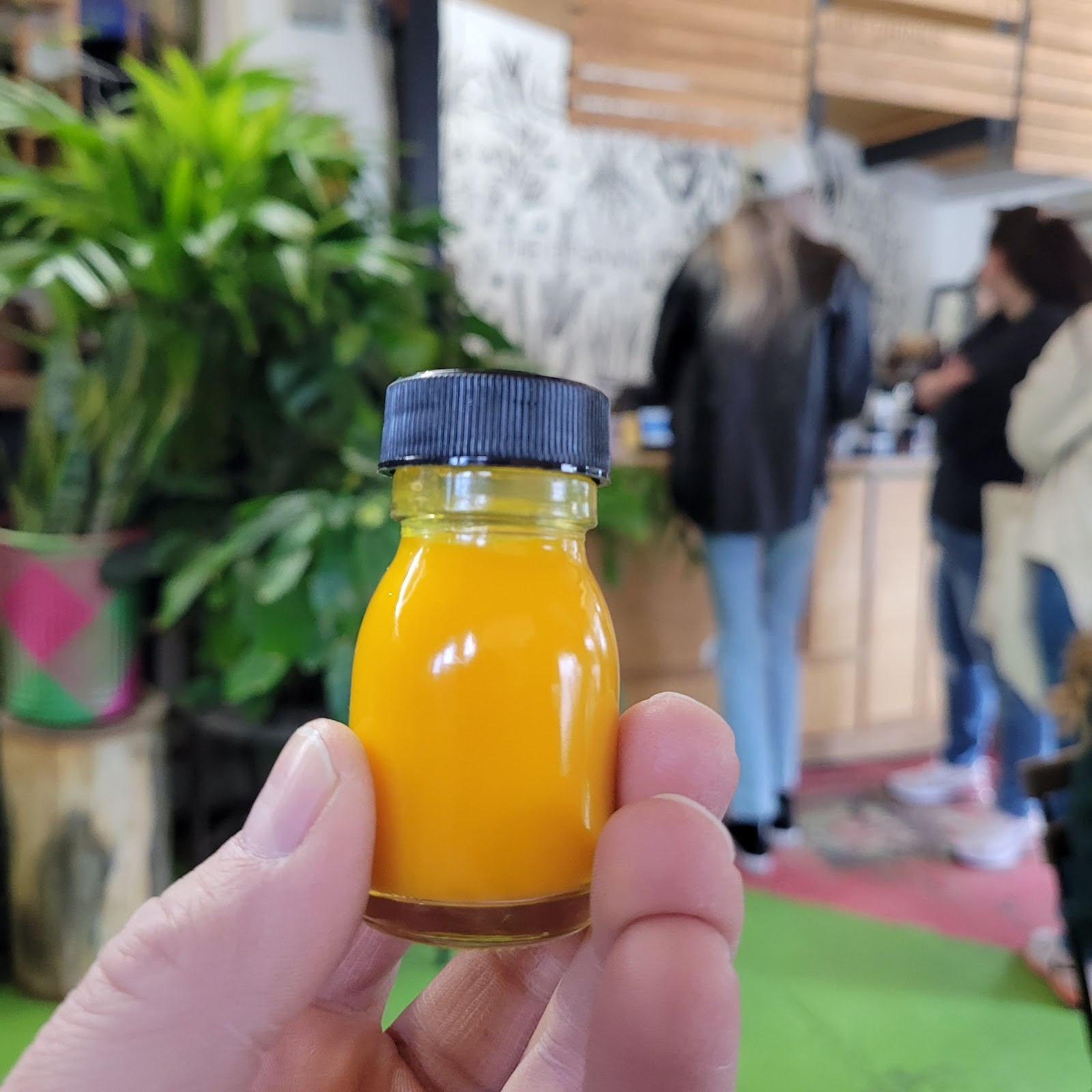 The Organic Press: food & drinks