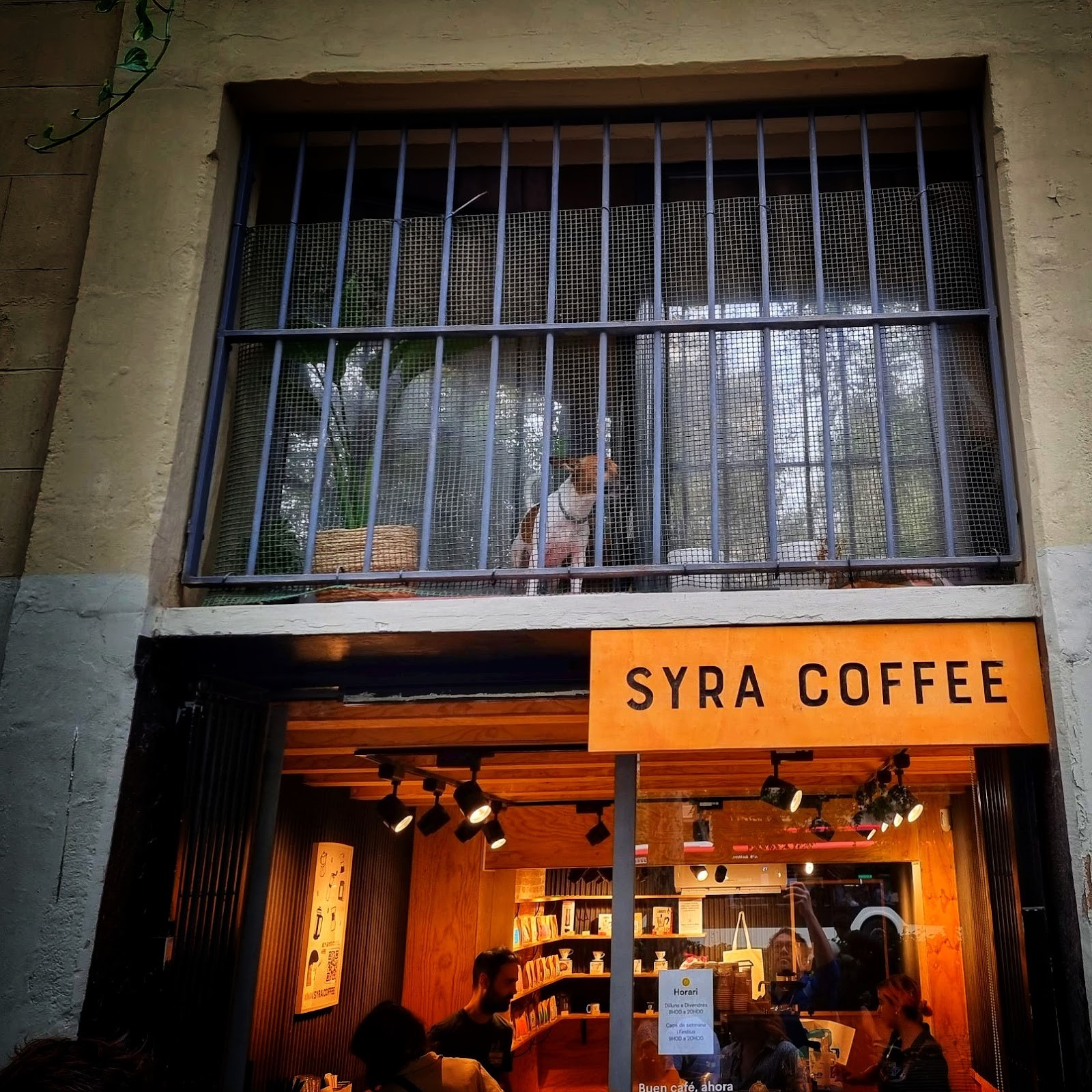 Syra Coffee - Passeig Sant Joan: the place