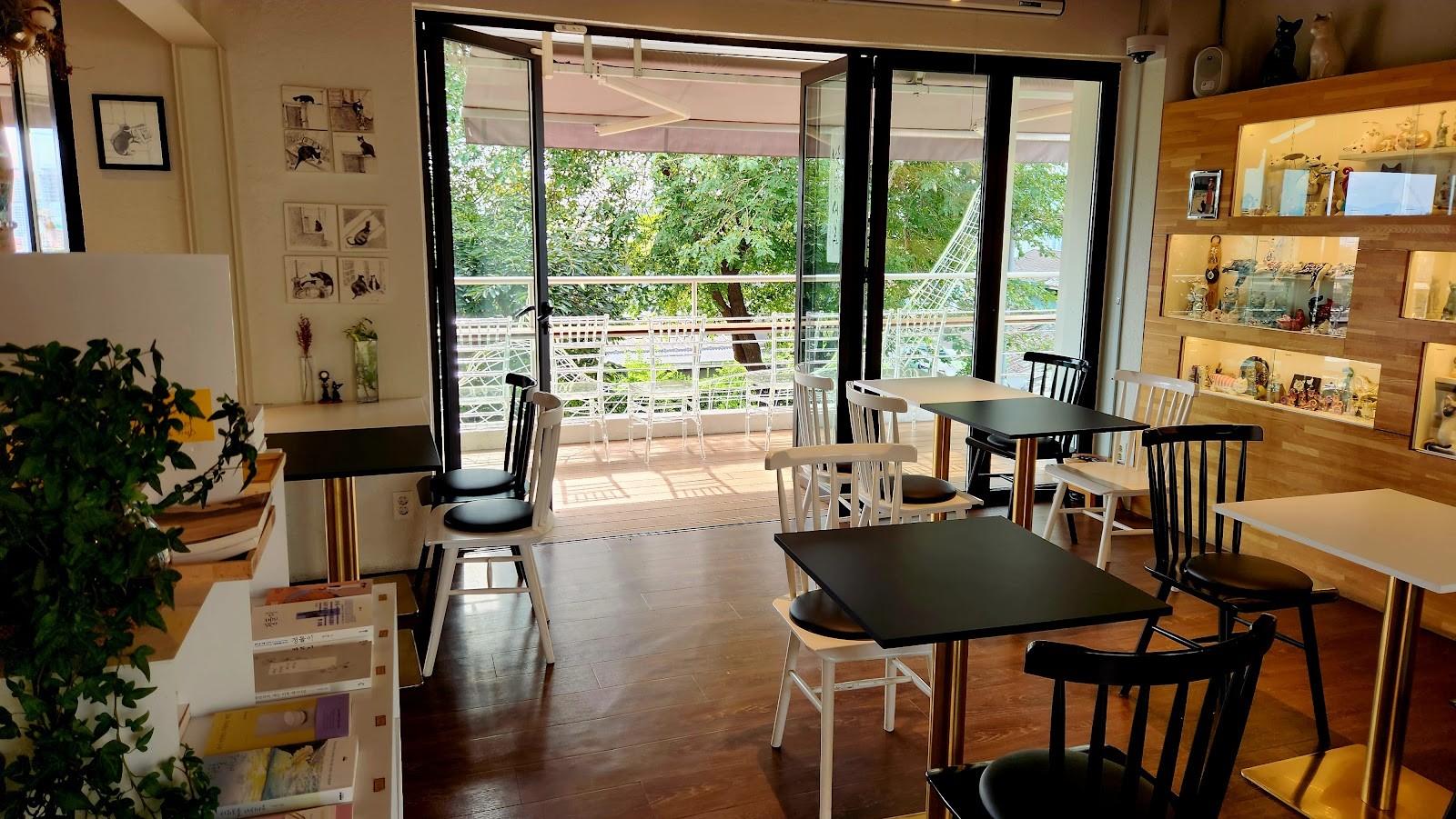 cafe reading cat: the place