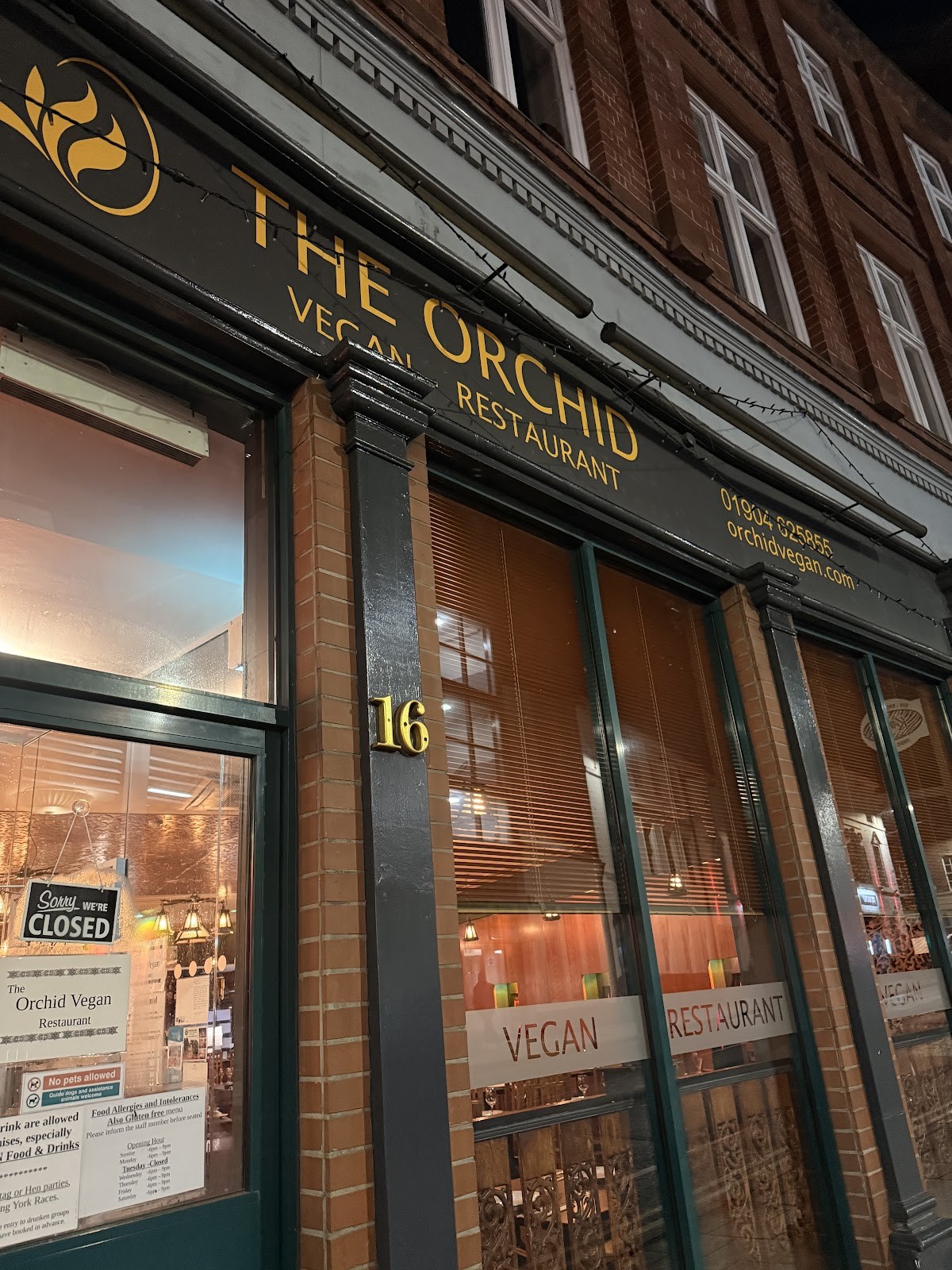 The Orchid Vegan Restaurant: the place