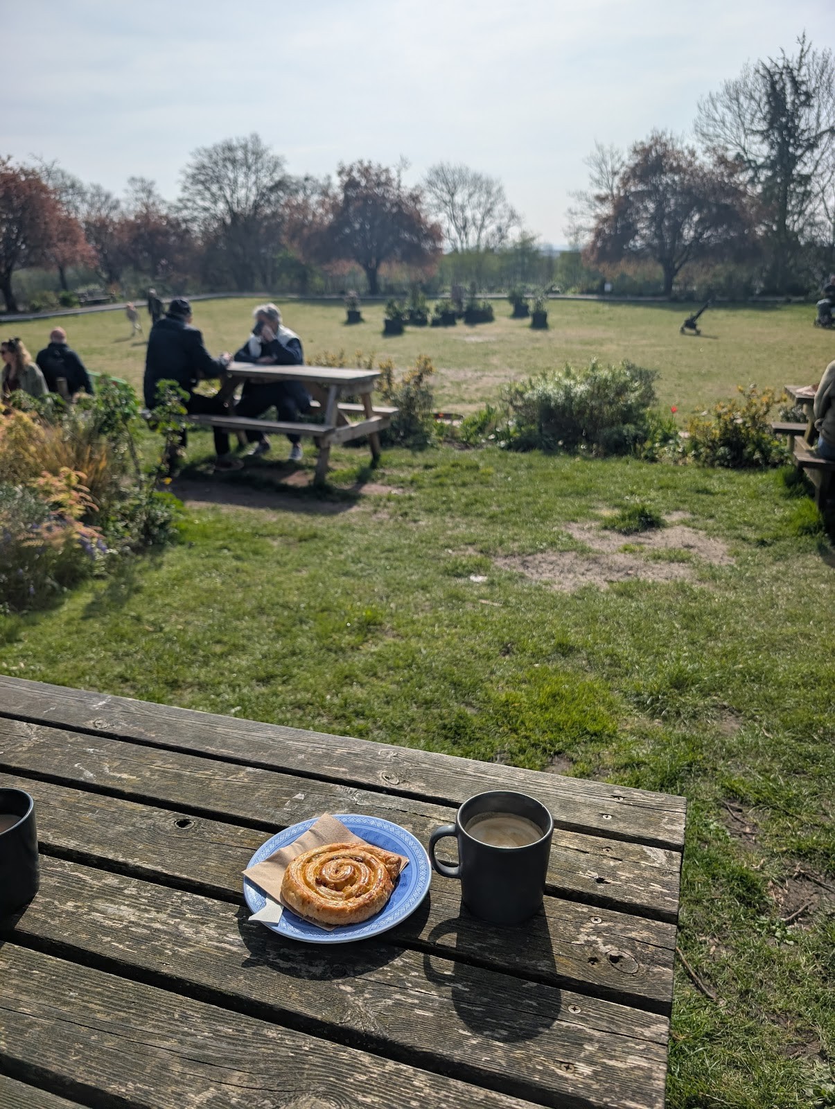 The Cafe on the Common: the place