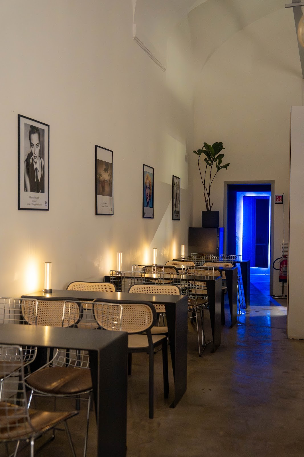 Wild Buns Bakery & Brunch | via Giusti: the place